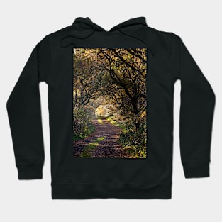 The Lane Hoodie